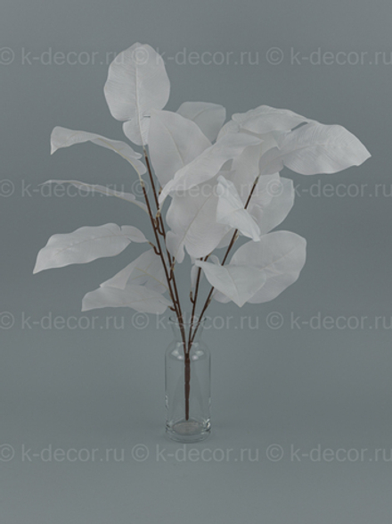 Куст Грейпфрут