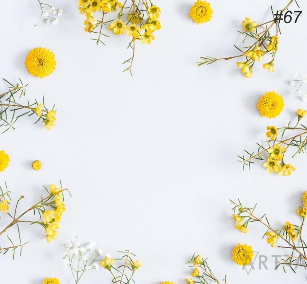 Фотофон виниловый Art-A 67