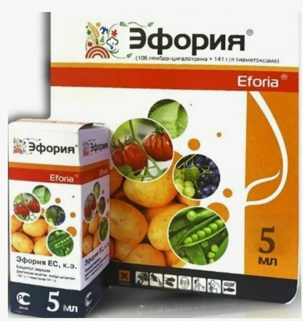 Снимок