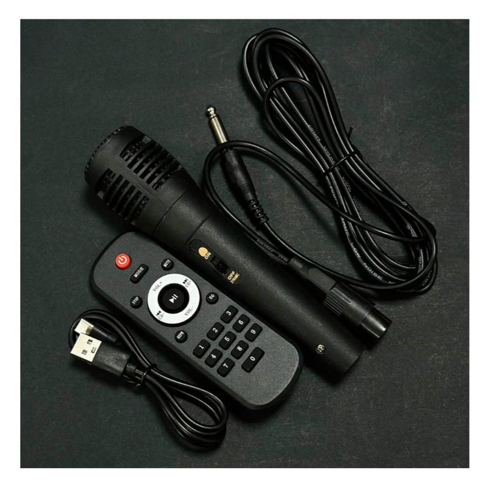 Напольная колонка Sing-e ZQS-8225 (8"30W/4.5A/микрофон)