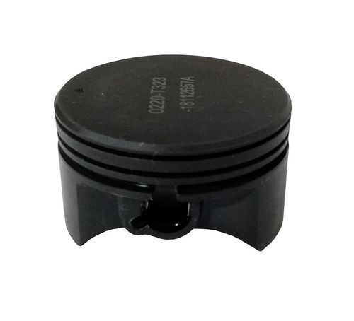 Поршень LC1P65FE/130030220-0001