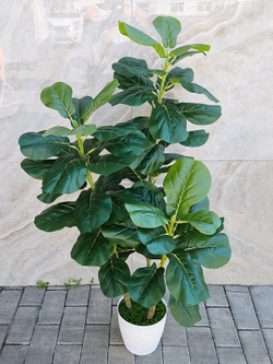 Искусственное растение Фикус Лирата зеленый 110см в кашпо