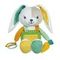 BENNY THE BUNNY                95030041