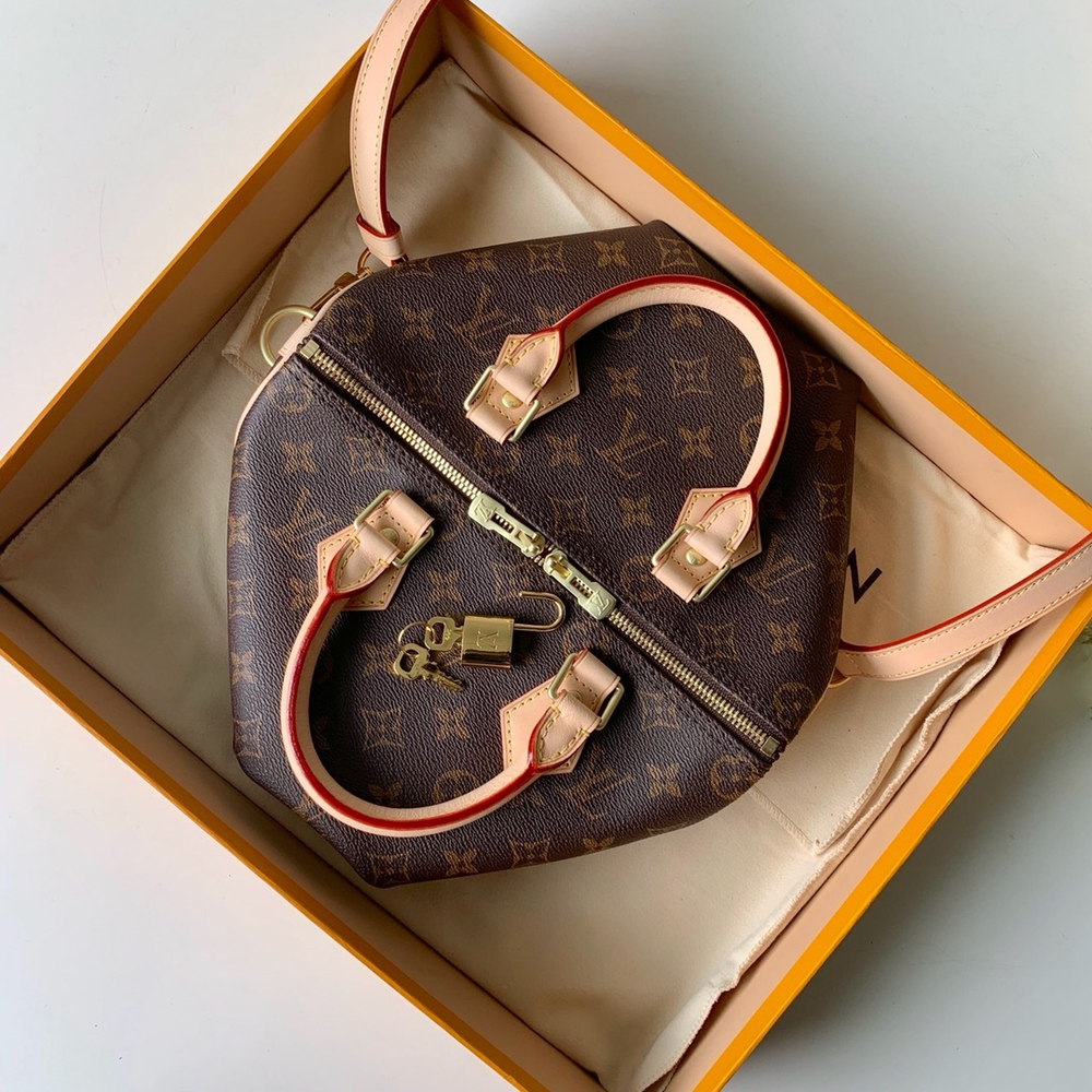 Louis Vuitton Speedy 25