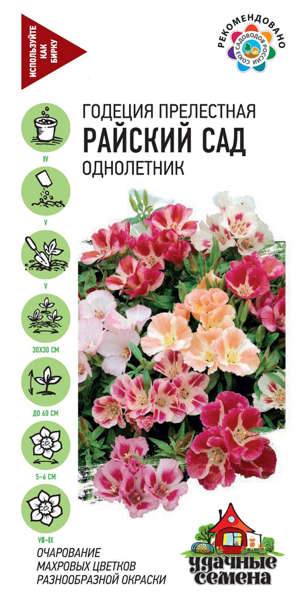 Годеция Райский Сад семена