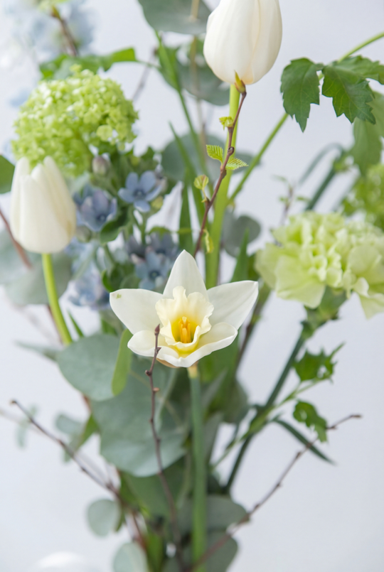 Трепет / ○ Ясность