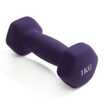 Гантель неразборная гексагональная неопрен  1 кг (фиолетовая) VictoryFit VF-DHN010