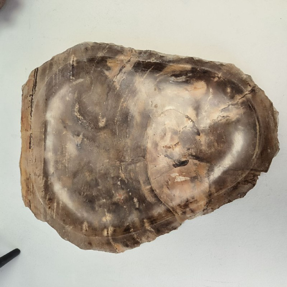 Набор из окаменелого дерева 4 предм Fossil Set NF-63074 поднос 29см*36см