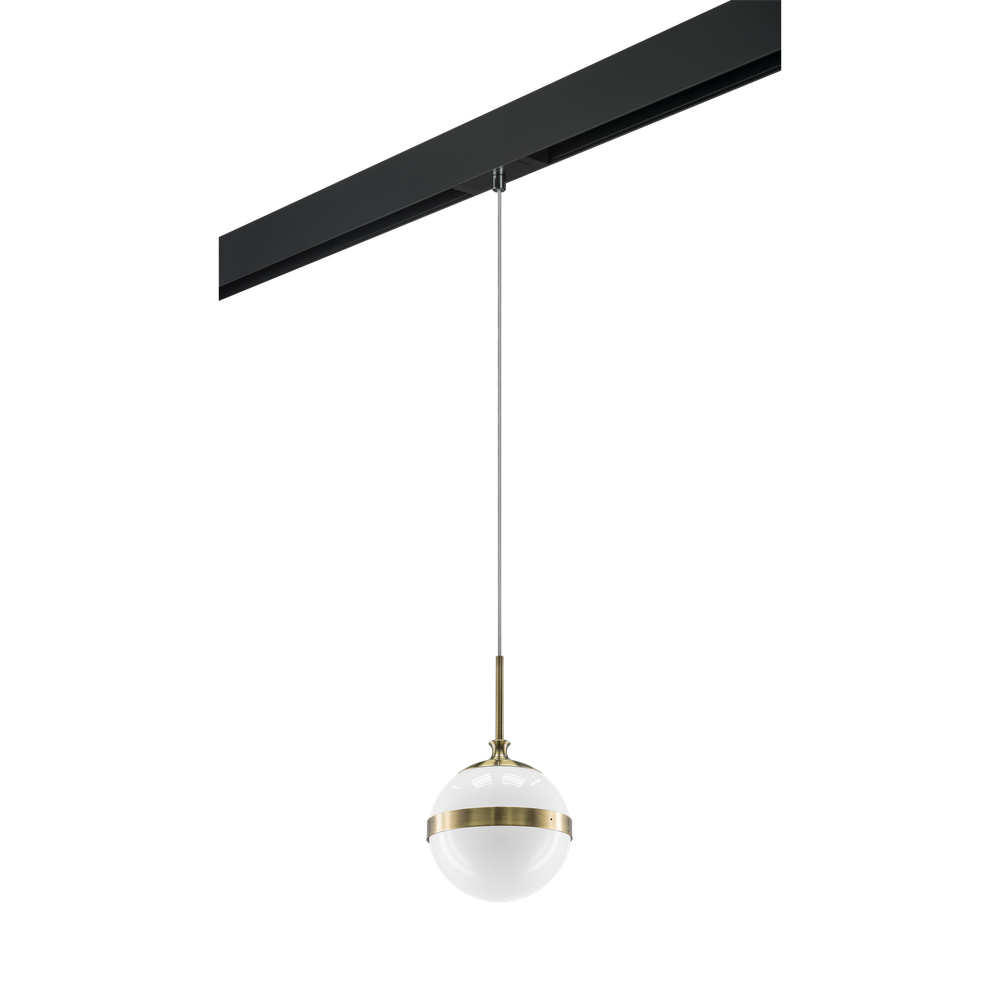 Трековый светильник Lightstar Globo PRO813111