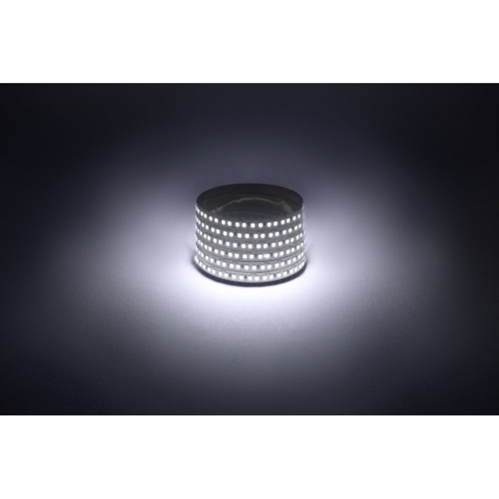 Светодиодная лента ЭРА LS2835-14,4-180-12-6500K-IP20 1 year-5m холодный белый 1 год | Светодиодные ленты 12В 1 год