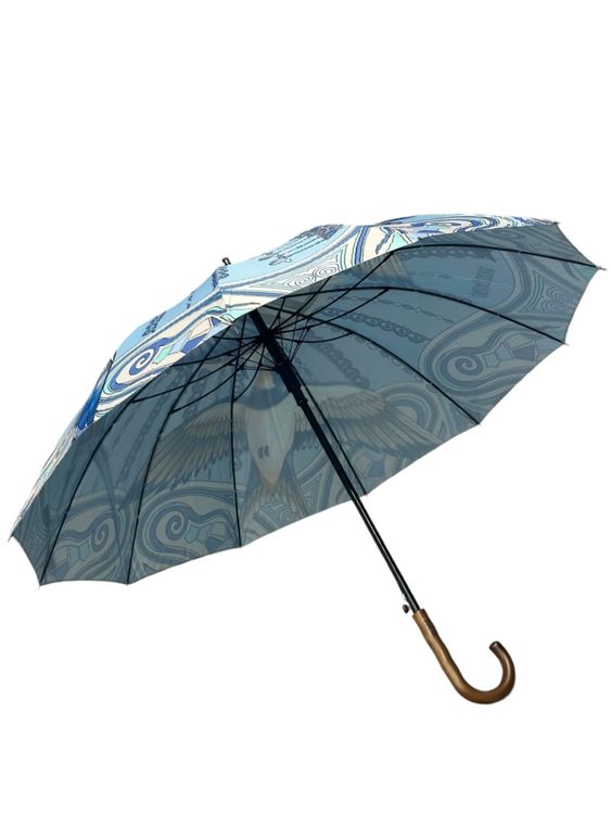 Зонт Қарлығаш