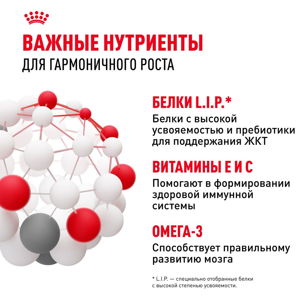 Пауч Royal Canin Mini Puppy для щенков мелких пород в возрасте до 10 месяцев, кусочки в соусе Пауч Royal Canin Mini Puppy для щенков мелких пород в возрасте до 10 месяцев, кусочки в соусе
