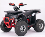 Квадроцикл YACOTA Sirius LD