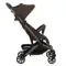 Прогулочная коляска Pituso Q5 Terra