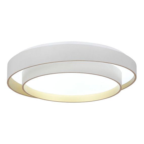 Потолочный светодиодный светильник ST Luce Crosby SLE6009-502-01