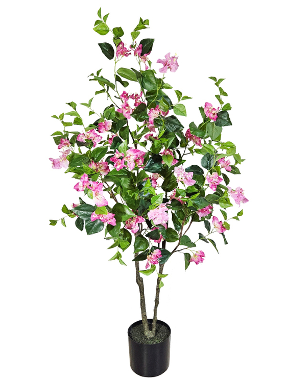 Бугенвиллия дерево 150см малиновая в кашпо