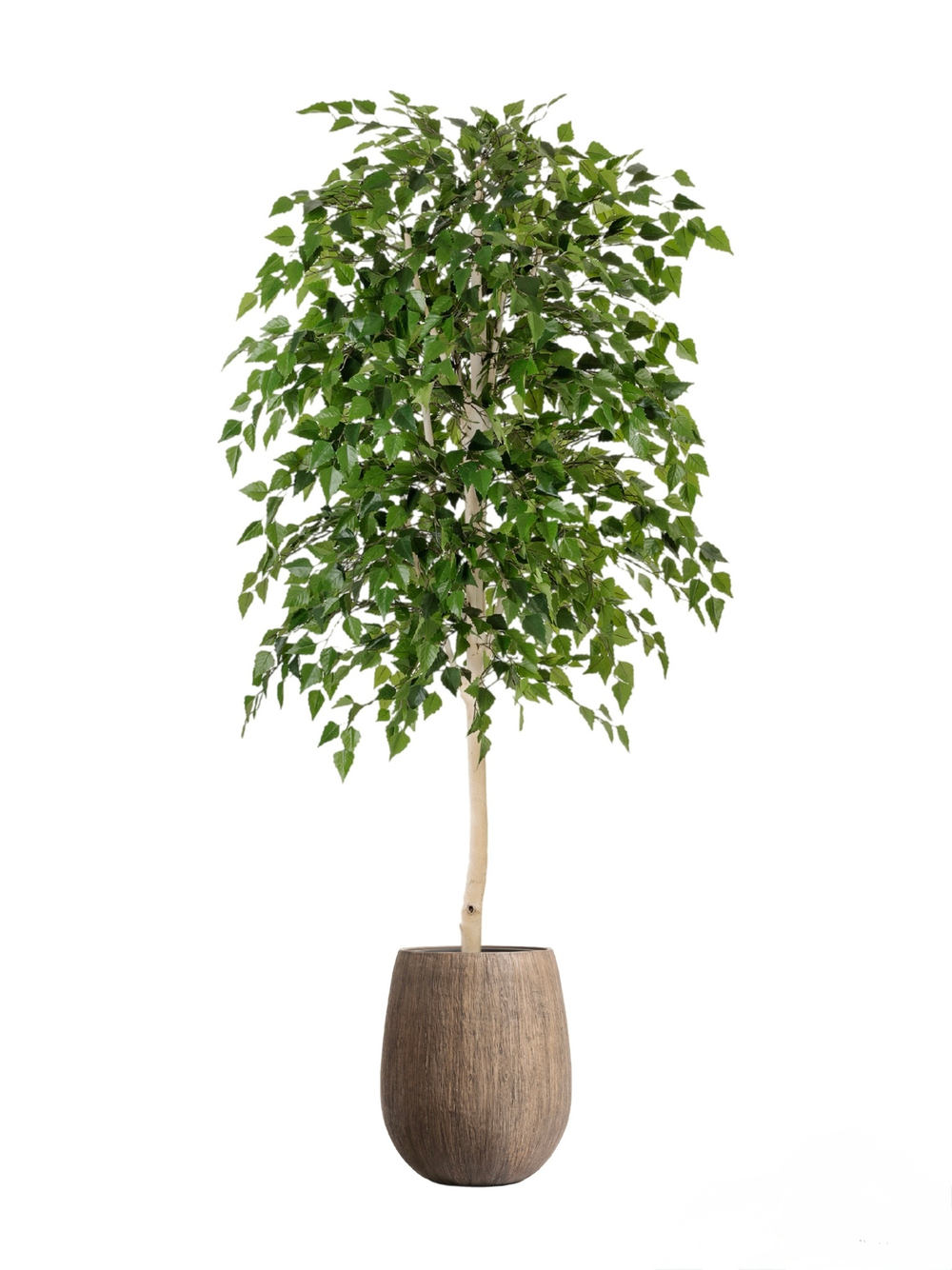Комплект - Берёза натуральная 140 см в кашпо TREEZ Effectory - серия Wood
