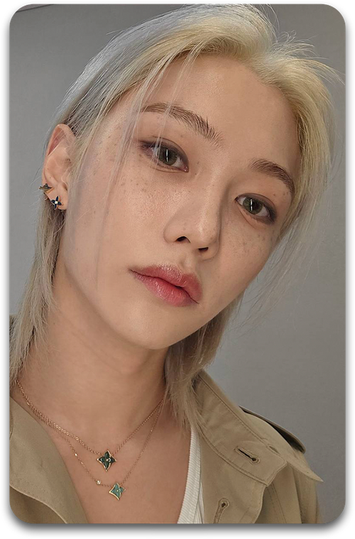 Карта / STRAY KIDS #2761