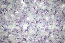 Ткань для штор Bering Arles D 21 Purpura