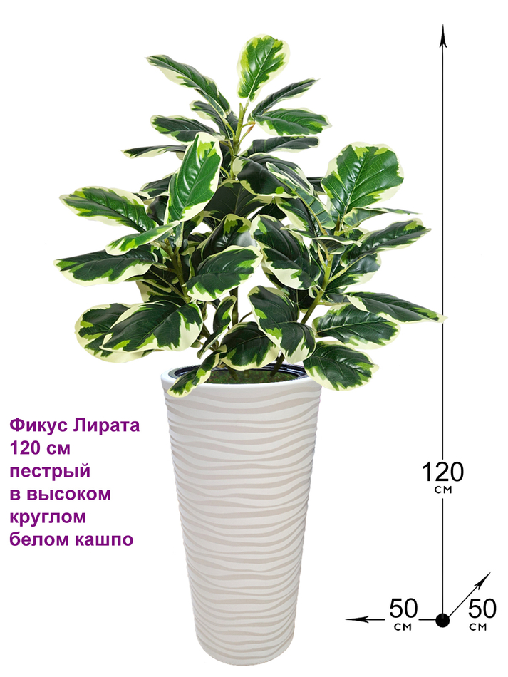 Искусственное растение Фикус Лирата 120 см пестрый в высоком круглом белом кашпо