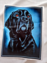 Панель (Армани-шелк дублир-й). Кино №1