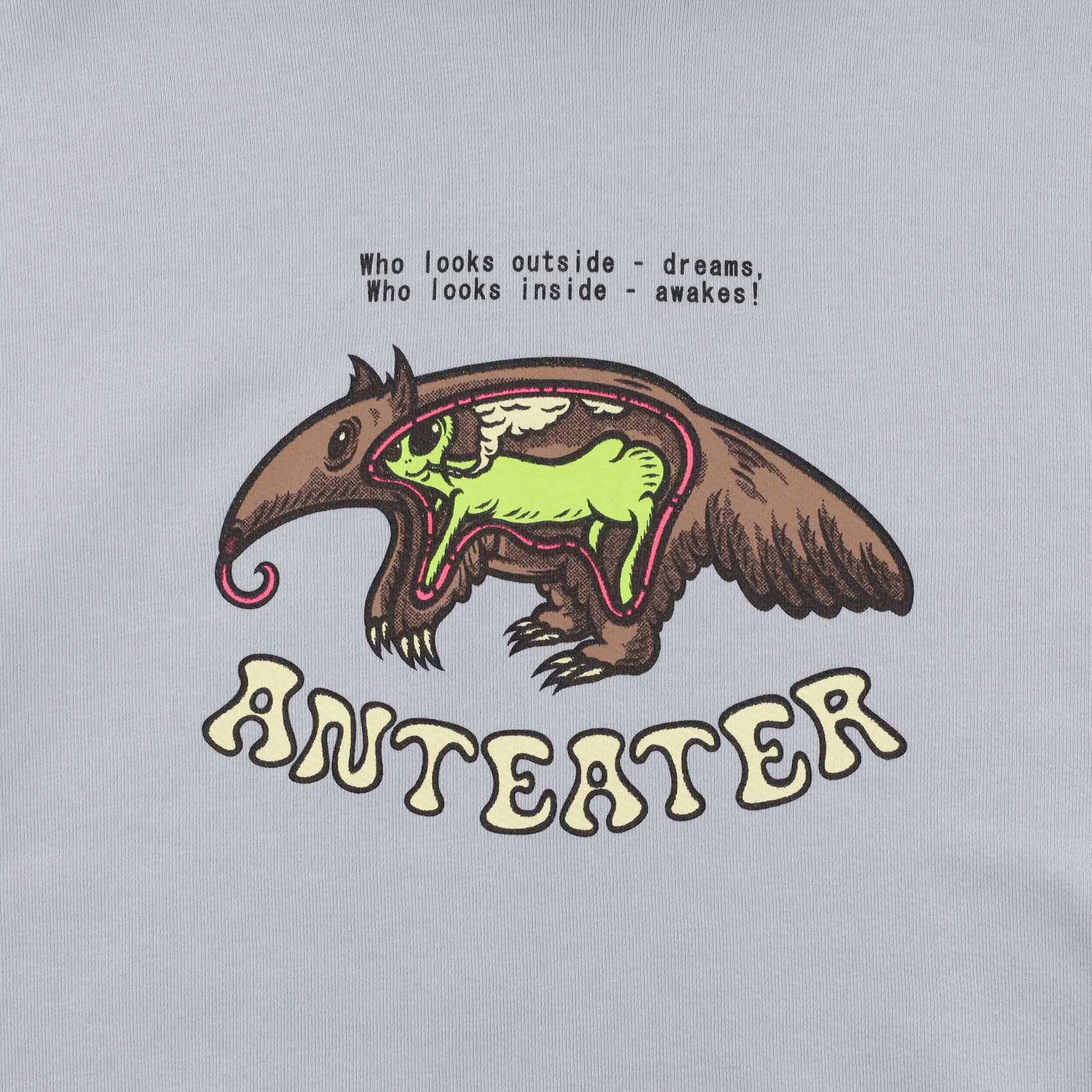 Худи Anteater Hoodie (light grey) артикул:pFYd79lmgmd5DqUeHhsij0 - купить в магазине Дайс