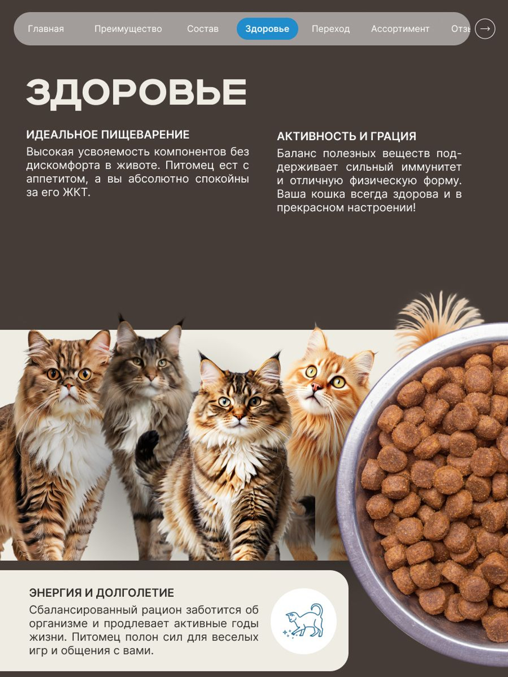 Корм сухой для взрослых стерилизованных кошек породы Мейн-кун, полнорационный комплекс, с индейкой, 400 гр, QUATTRO
