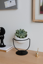 Кашпо для растений настольное nesta