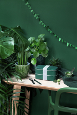 Ланч-бокс mb original, jungle