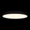Потолочный светодиодный светильник Loft IT Brim 10226 Black