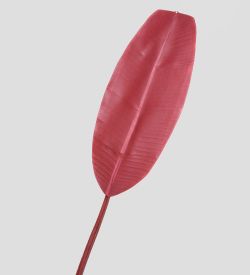 TR 607S Банановый лист