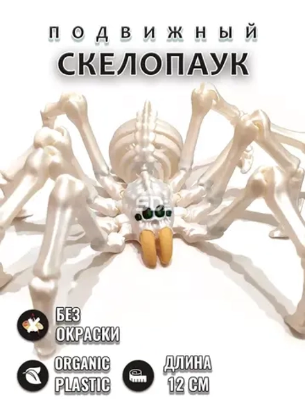 Скелет Паук