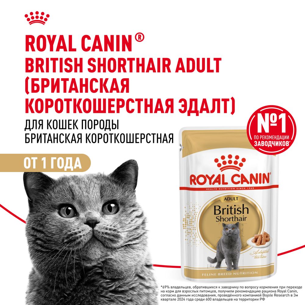 Пауч Royal Canin British Shorthair Adult для взрослых британских короткошерстных кошек, мелкие кусочки в соусе Пауч Royal Canin British Shorthair Adult для взрослых британских короткошерстных кошек, мелкие кусочки в соусе