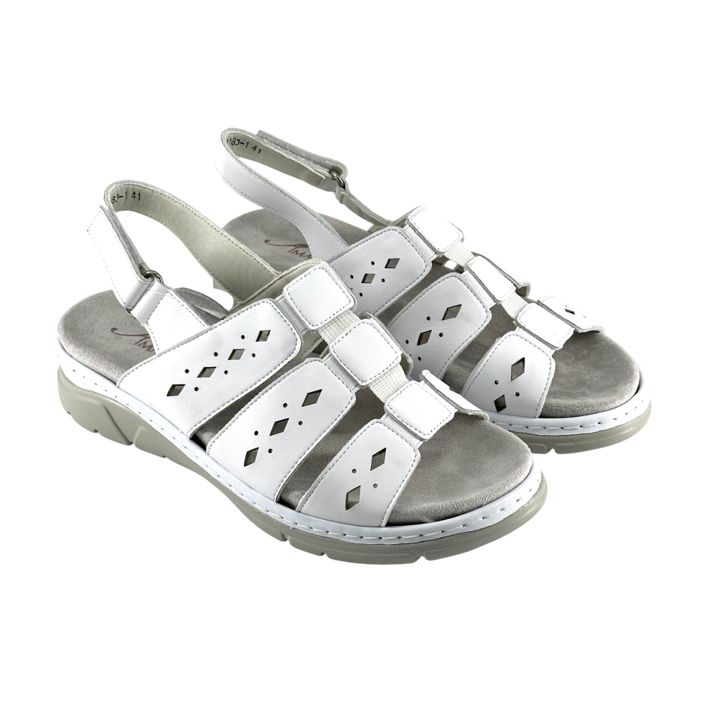 image-20-06-25-16-06-Photoroom