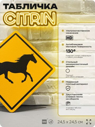 Табличка прикольная "Осторожно, лошади" на дверь и стену, информационная и предупреждающая, декоративный знак, 24,5х24,5 см, пластиковая, Айдентика Технолоджи