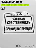 Табличка для частной территории "Частная собственность, проход воспрещен", на дом, для участка, организаций, предупреждающая, 40х30 см, Silver Plane x Айдентика Технолоджи