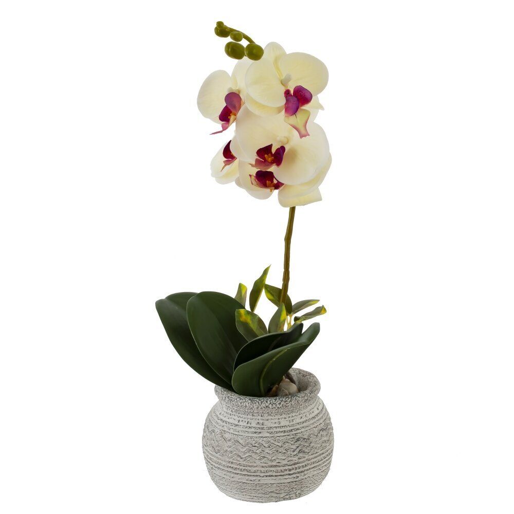 GAEM Цветочная композиция "Орхидея", L18 W15 H34 см