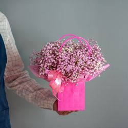 Розовая гипсофила в сумочке