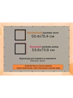 Рамка для постера и фотографий 50x70