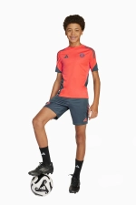 Футболка adidas FC Bayern 25/26 Training Junior - оранжевый