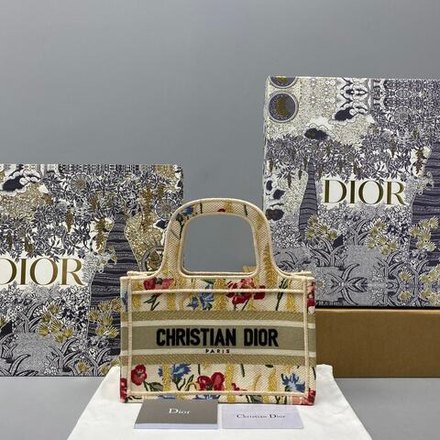Christian Dior Mini Book Tote