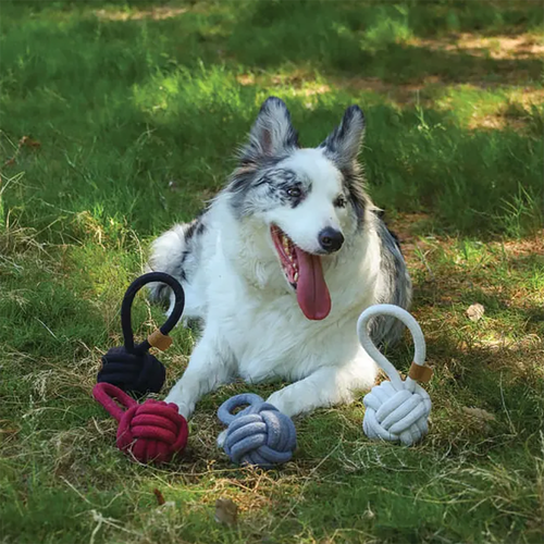 Игрушка для собак Мяч-петля COTO 8 см M-Pets