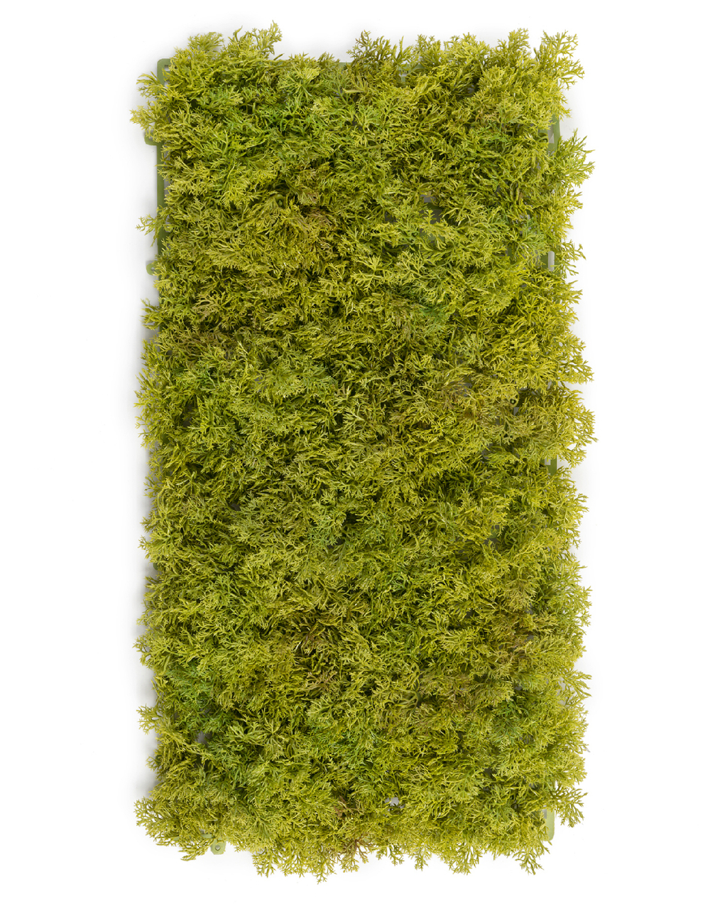 Мох Ягель коврик светло-зелёный микс 25х50 см (пластик) 20/20 20.072028LG-M