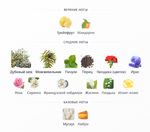 Eau du Soir Sisley 100ml (duty free парфюмерия)