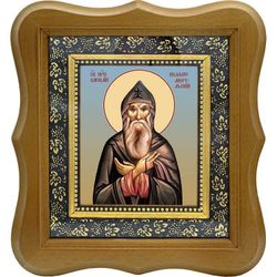 Василий Поляномерульский (Пояна-Мэрулуйский) преподобный. Икона на холсте.