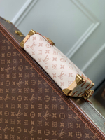Louis Vuitton Side Trunk MM East West