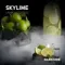 DarkSide - Skylime (100г)