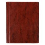 Альбом для монет 145*185, на 90 монеты, коричневый, Остров Сокровищ