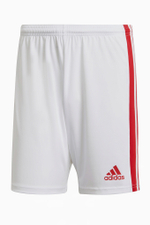 Шорты adidas Squadra 21