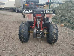 Квадроцикл WELS EVO.M